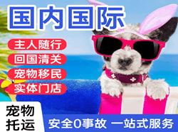乌兰察布集宁空运代理国际宠物托运 【国